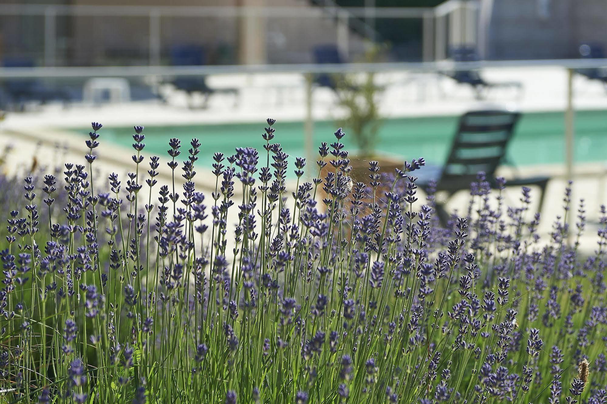 Cit'Hotel Les Alizes 리모주 외부 사진
